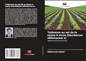 Bild des Verkufers fr Tolrance au sel de la canne  sucre (Saccharum officinarum L) zum Verkauf von moluna