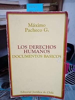 Bild des Verkufers fr Derechos Humanos : Documentos Bsicos zum Verkauf von Librera Monte Sarmiento