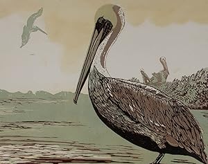 1986 Silkscreen - Brown Pelican