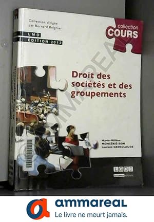 Image du vendeur pour Droit des socits et des groupements,2me dition mis en vente par Ammareal