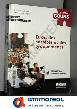 Image du vendeur pour Droit des socits et des groupements,2me dition mis en vente par Ammareal