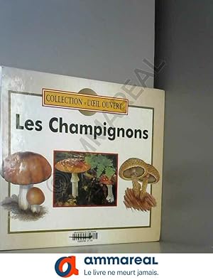 Seller image for Les champignons for sale by Ammareal