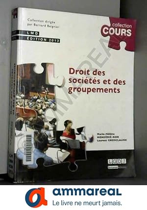 Image du vendeur pour Droit des socits et des groupements,2me dition mis en vente par Ammareal