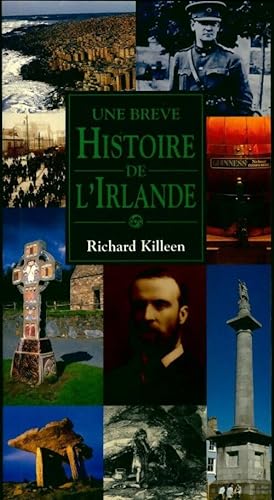 Une brève histoire de l'Irlande - Richard Killeen