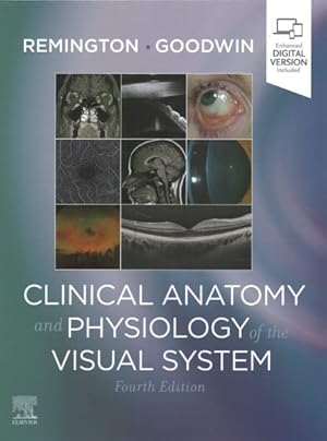 Imagen del vendedor de Clinical Anatomy and Physiology of the Visual System a la venta por GreatBookPrices