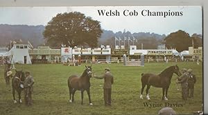 Welsh Cob Champions