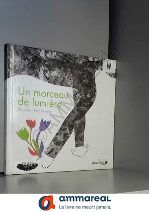 Bild des Verkufers fr Un Morceau de Lumiere zum Verkauf von Ammareal