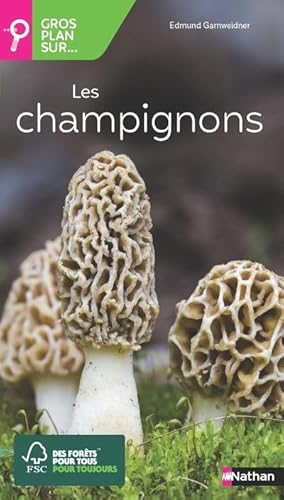 gros plan sur : les champignons