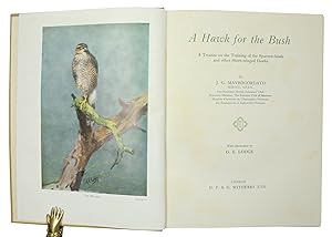 Seller image for A Hawk for the Bush. A Treatise on the Training of the Sparrow-Hawk and Other Short-Winged Hawks. for sale by Antiquariat INLIBRIS Gilhofer Nfg. GmbH