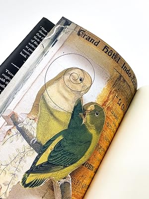 Bild des Verkufers fr A CONVERGENCE OF BIRDS: Original Fiction and Poetry Inspired by the Work of Joseph Cornell zum Verkauf von Type Punch Matrix