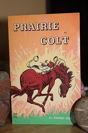 Prairie Colt