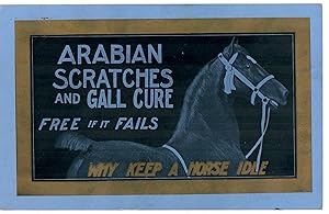 Arabian Scratches and Gall Cure; Free If It Fails--Why Keep a Horse Idle