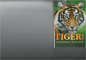 Immagine del venditore per Tiger! venduto da WeBuyBooks