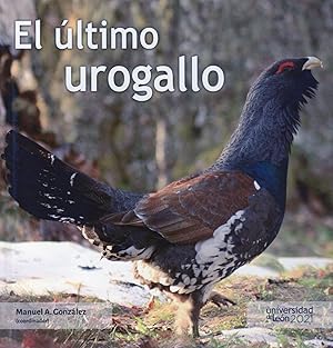 Seller image for ULTIMO UROGALLO, EL for sale by CAZAYLIBROS.COM