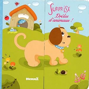 Seller image for surprise ; drles d'animaux ! for sale by Chapitre.com : livres et presse ancienne