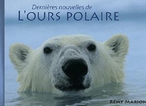 Dernières nouvelles de l'ours polaire