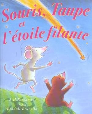 Immagine del venditore per Souris, taupe et l'etoile filante venduto da Chapitre.com : livres et presse ancienne