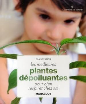 les meilleures plantes dépolluantes pour bien respirer chez soi