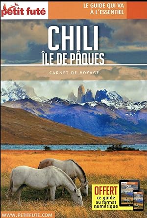 GUIDE PETIT FUTE ; CARNETS DE VOYAGE : Chili ; île de Pâques (édition 2018)
