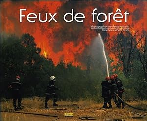 Feux de forêt