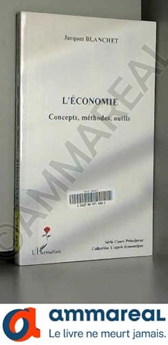 Image du vendeur pour L'conomie : concepts, mthodes, outils mis en vente par Ammareal