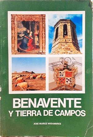 Immagine del venditore per Benavente y Tierra de Campos venduto da Paraso Lector