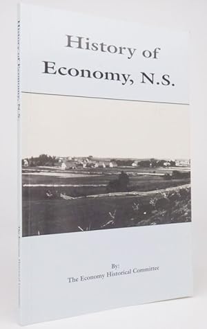 history of economy N. S.