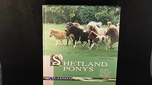 Shetland Ponys. Großer Spaß mit kleinen Pferden.
