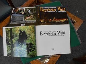 Seller image for Bayerischer Wald. Rauhe Zauberwelt des Grenzgebirges. Bruno Mooser, geb. 1925 in Tettenweis und Werner A. Widmann, geboren 1926 in Nrnberg. for sale by Galerie  Antiquariat Schlegl