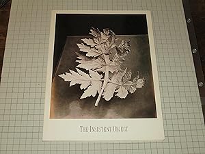 Seller image for The Insistent Object: Photographs 1845-1986 for sale by rareviewbooks