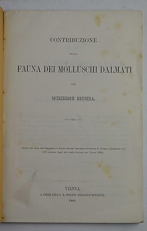 Contribuzione pella fauna dei molluschi dalmati&