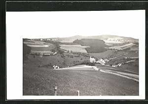 Foto-Ansichtskarte Michelbach /Gerolstein, Teilansicht mit Kirche 1929