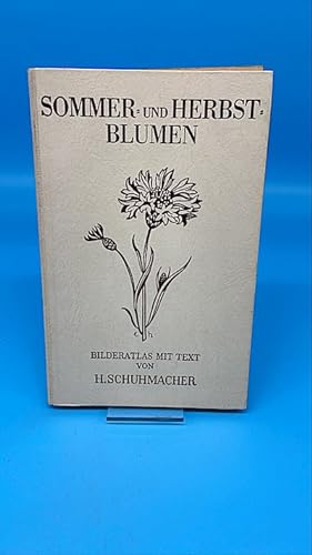 Image du vendeur pour Sommer- und Herbst-Blumen. Bilderatlas mit Text sowie Textheft. mis en vente par Buchliebe-shop I Buchhandlung am Markt