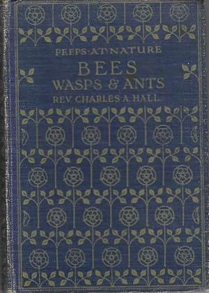 Bees Wasps and Ants (Peeps at Nature)