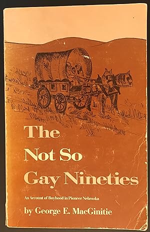 The Not So Gay Nineties