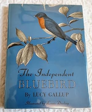 THE INDEPENDENT BLUEBIRD