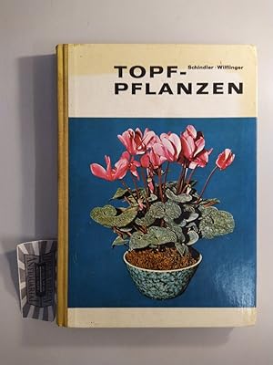 Topfpflanzen. Eine Kulturanleitung für die gebräuchlichsten Gewächshaus- und Zimmerpflanzen.