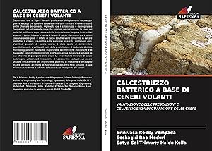 Seller image for CALCESTRUZZO BATTERICO A BASE DI CENERI VOLANTI for sale by moluna