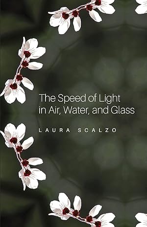 Immagine del venditore per The Speed of Light in Air, Water, and Glass venduto da moluna