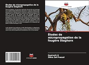 Seller image for tudes de micropropagation de la fougre Staghorn for sale by moluna