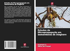 Seller image for Estudos de Micropropagao em Samambaias de Staghorn for sale by moluna