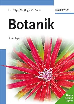 Seller image for Botanik. Ulrich Lttge, Manfred Kluge und Gabriela Bauer for sale by Antiquariat Mander Quell