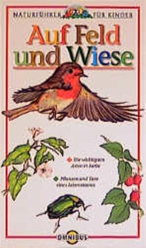 Seller image for Auf Feld und Wiese: Naturfhrer fr Kinder for sale by Versandantiquariat Felix Mcke