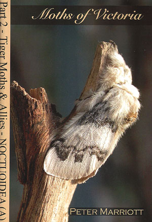 Imagen del vendedor de Moths of Victoria: part two, Tiger moths and allies Noctuoidea (A). a la venta por Andrew Isles Natural History Books
