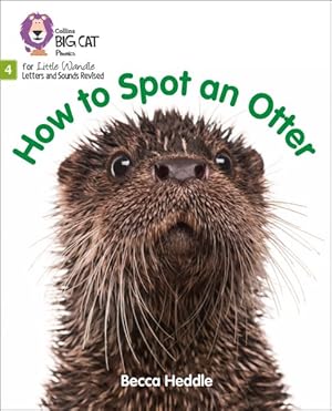 Imagen del vendedor de How To Spot An Otter a la venta por GreatBookPrices