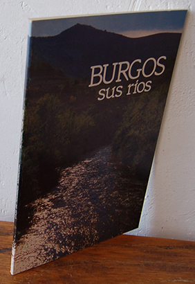 Imagen del vendedor de BURGOS, sus ros a la venta por EL RINCN ESCRITO