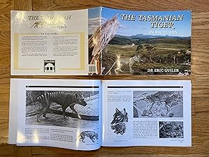 Seller image for THE TASMANIAN TIGER IN PICTURES for sale by Paul Gritis Books