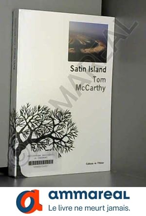Imagen del vendedor de Satin Island a la venta por Ammareal
