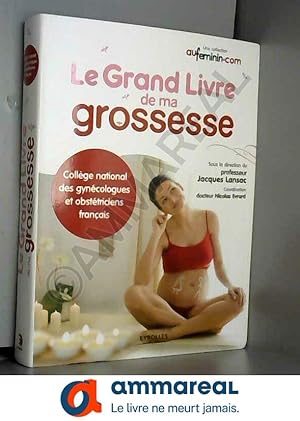 Seller image for Le grand livre de ma grossesse for sale by Ammareal