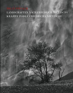Immagine del venditore per Landschaften nach Friedrich Nietzsche = Krajiny podle Friedricha Nietzsche venduto da Antikvariat Valentinska